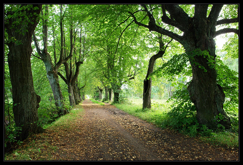 photo "Autumn comes" tags: landscape, autumn