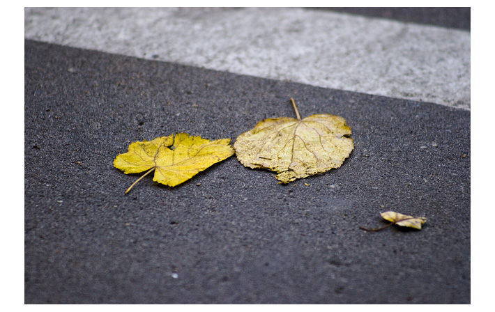 photo "* * *" tags: still life, genre, 