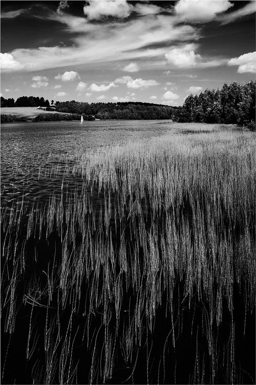 фото "*** (пейзаж с парусом)" метки: пейзаж, черно-белые, 