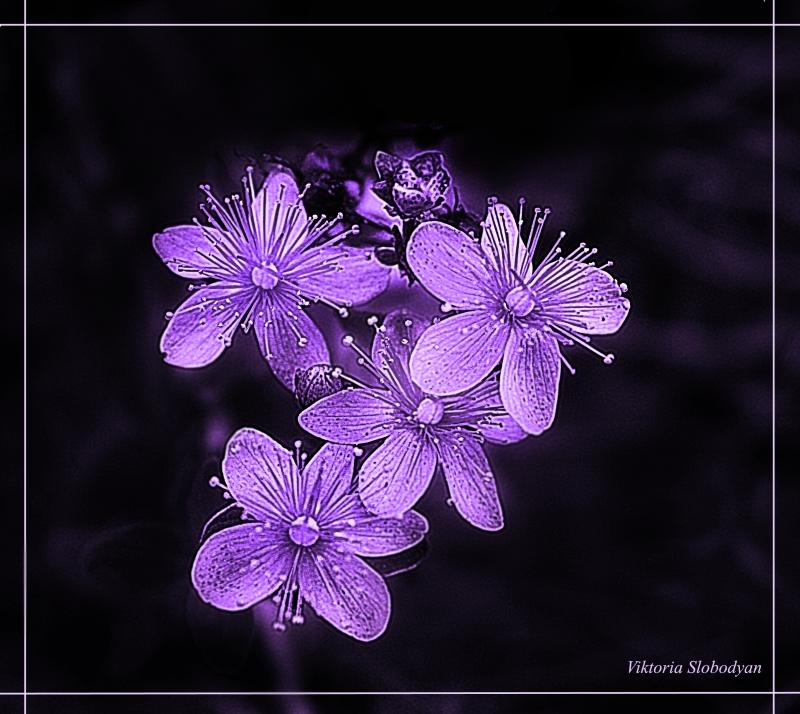 photo "***" tags: , 