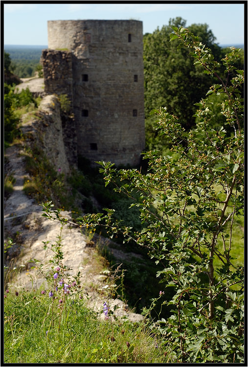 photo "An old story" tags: architecture, landscape, summer