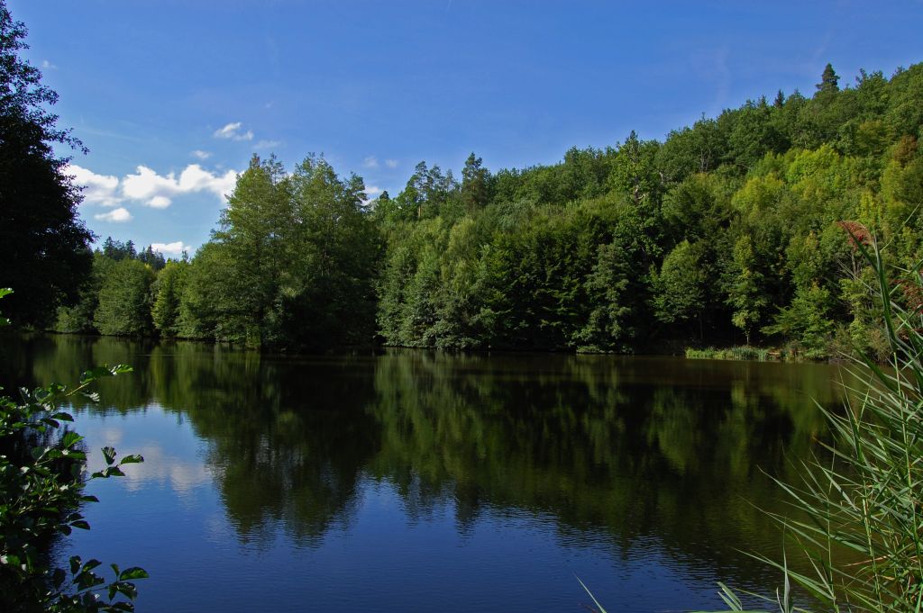 photo "***" tags: landscape, forest, water