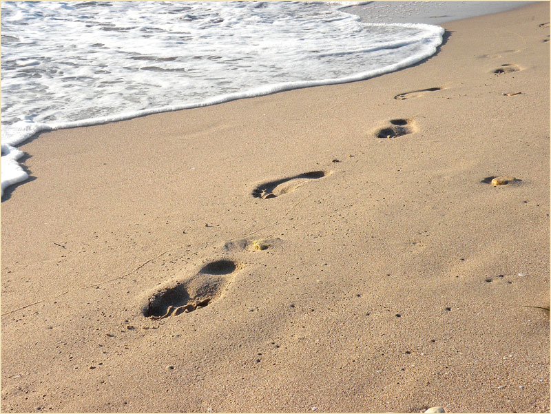 photo "Footsteps in the sand" tags: genre, 