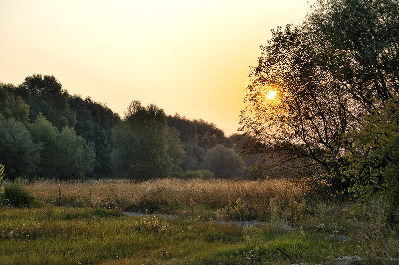 photo "***" tags: landscape, summer, sunset