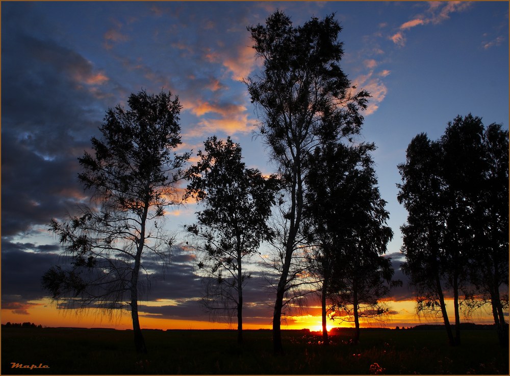 photo "***" tags: landscape, forest, sunset