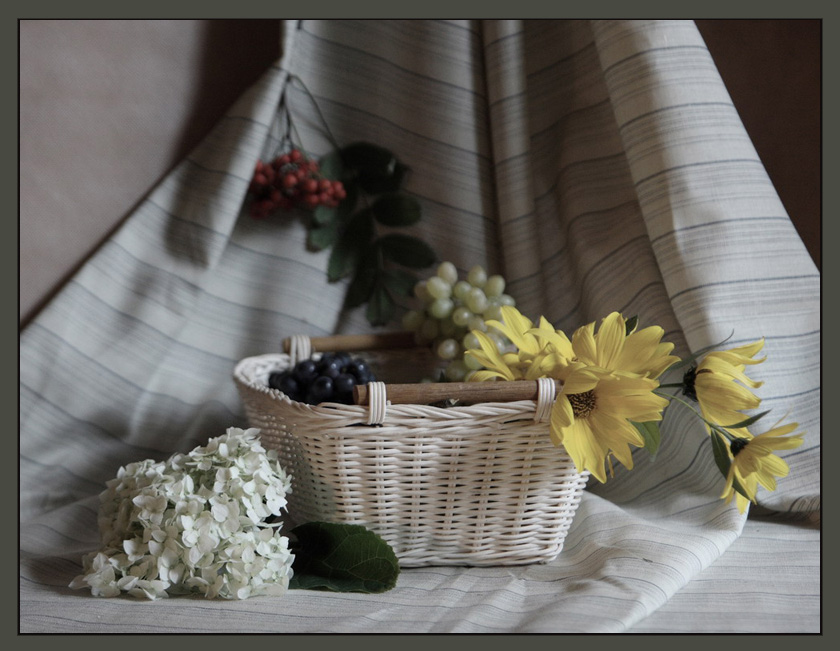 photo "***" tags: still life, 
