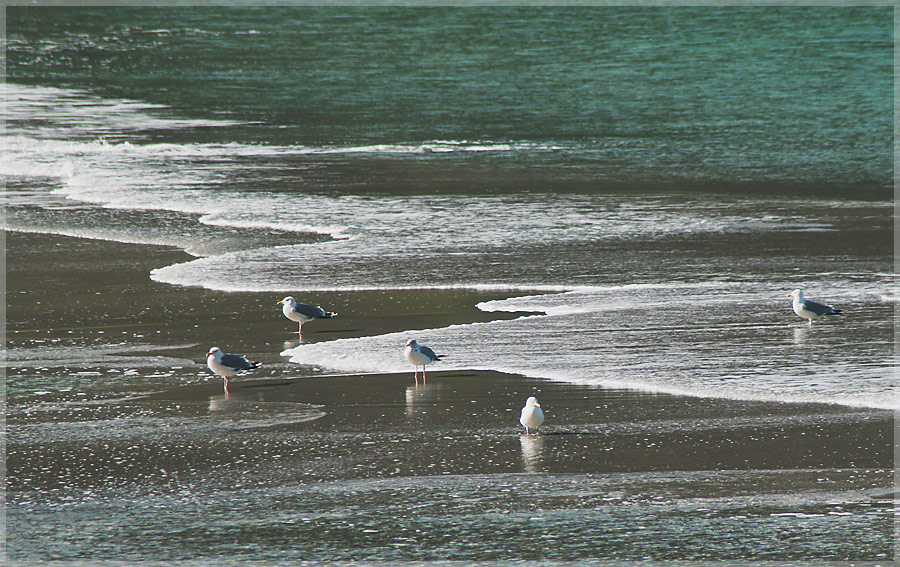 photo "Harmony" tags: landscape, water