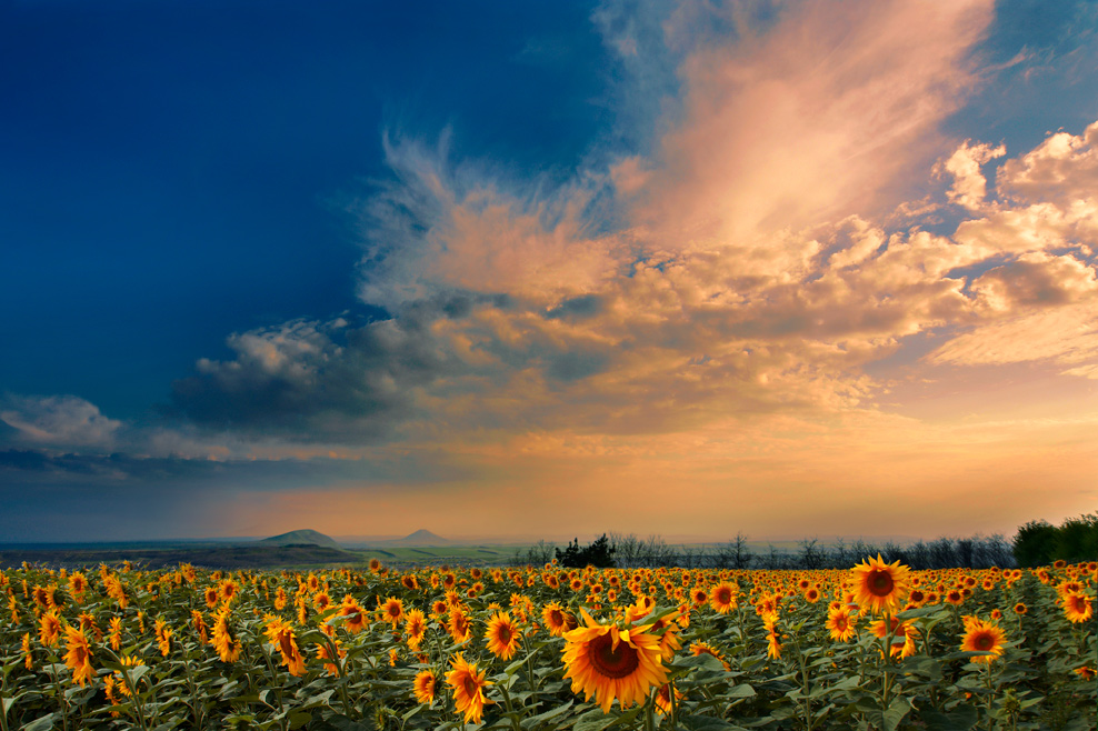 photo "August evening" tags: landscape, sunset