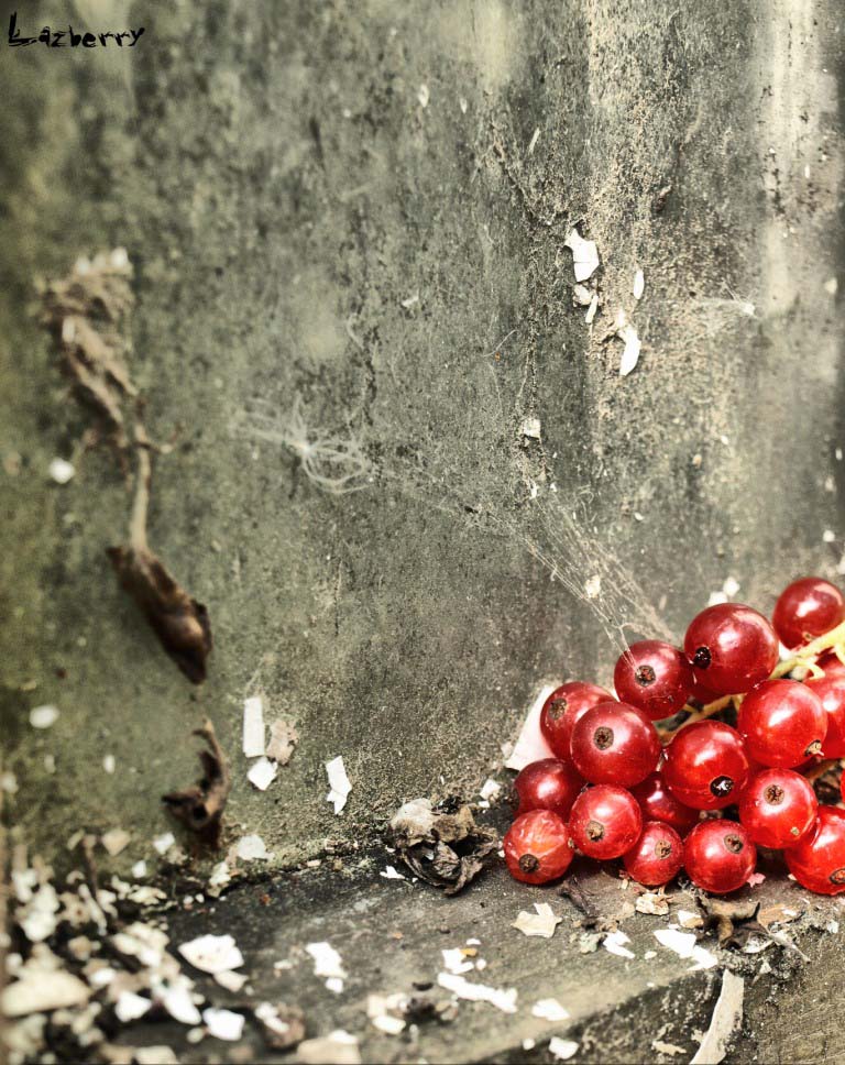 photo "***" tags: still life, 