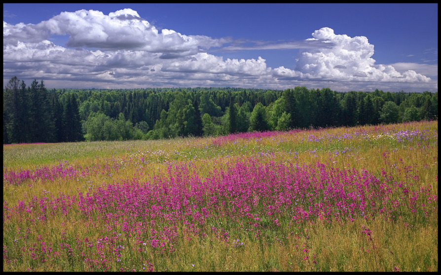 photo "***" tags: landscape, summer