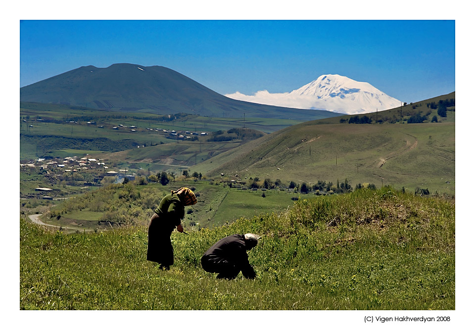 photo "Killing  near Ararat" tags: humor, landscape, 