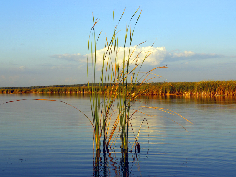 photo "***" tags: landscape, summer