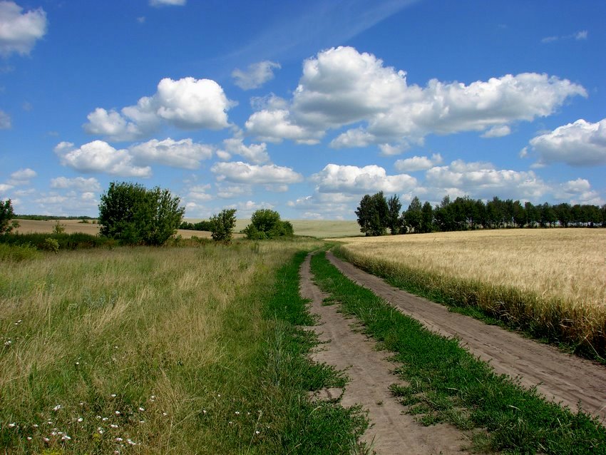 фото "Моя Украина!" метки: пейзаж, лето