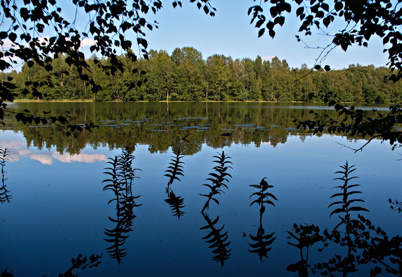 photo "***" tags: landscape, summer, water