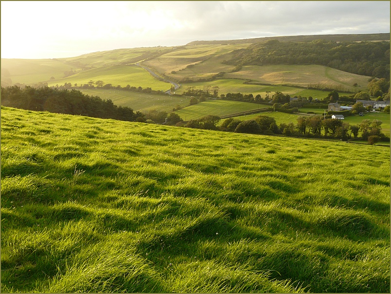 photo "Grass and light" tags: landscape, 