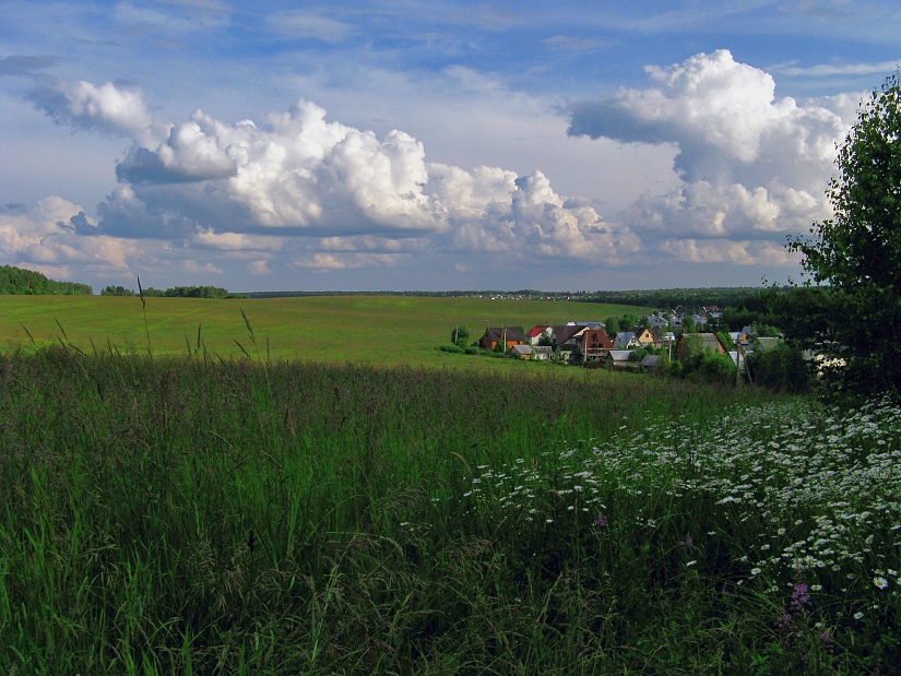 photo "Сotton wool сlouds" tags: landscape, clouds, summer