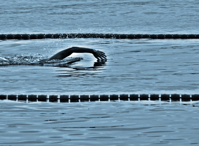 photo "solo swimmer" tags: , 