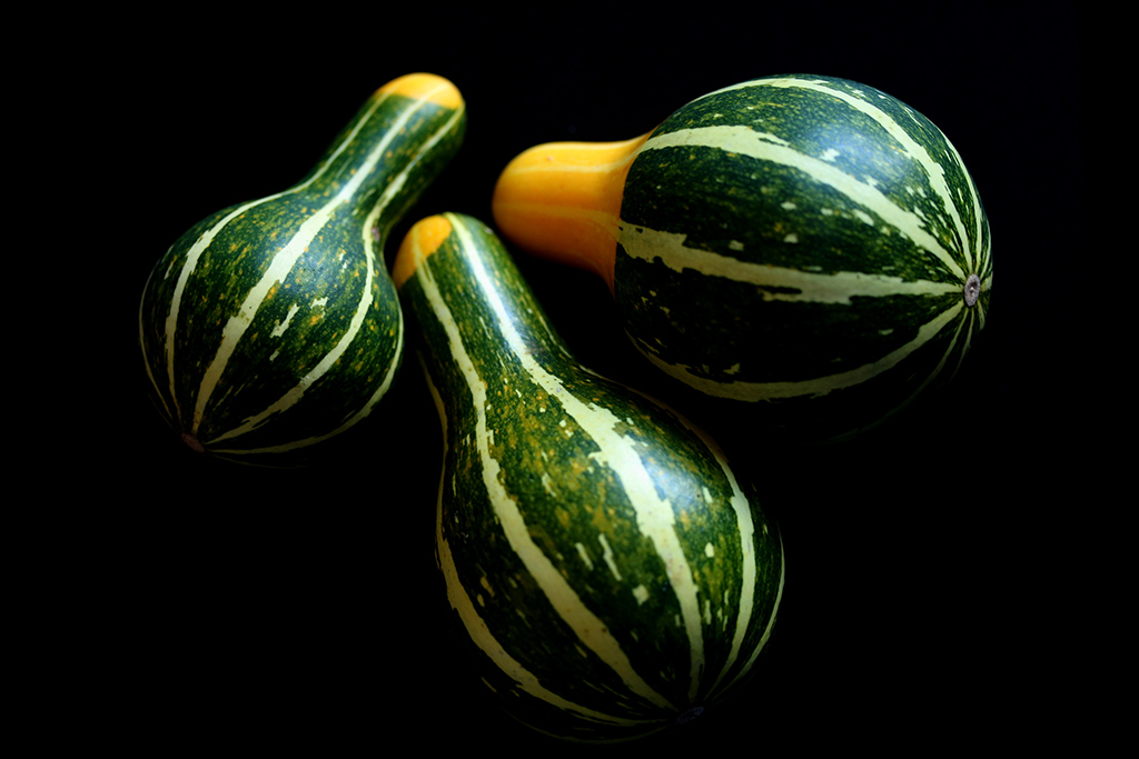 фото "Three little pumpkins" метки: , 