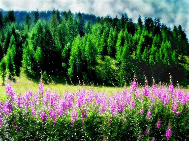 фото "Summer dream" метки: пейзаж, горы