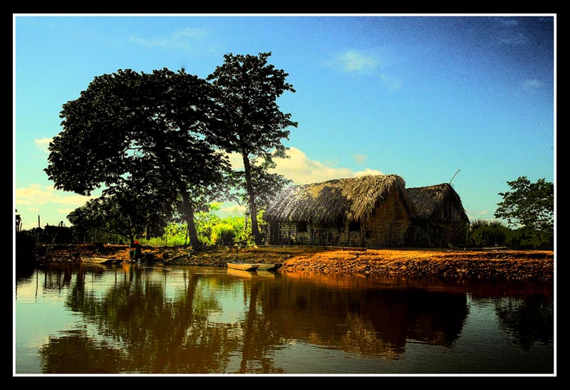 photo "Pantanal" tags: travel, South America