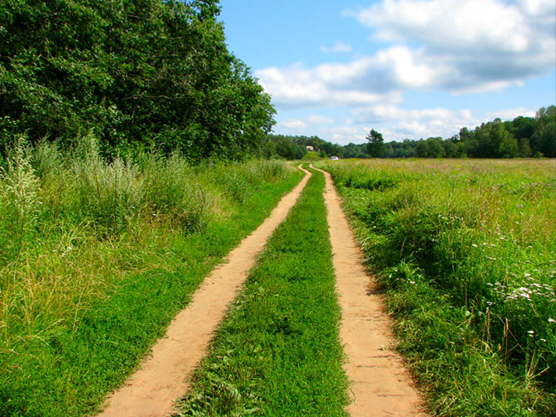 photo "***" tags: landscape, summer