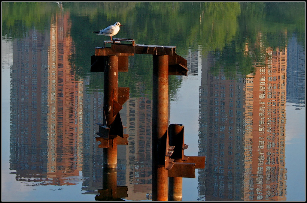 photo "My city" tags: , 