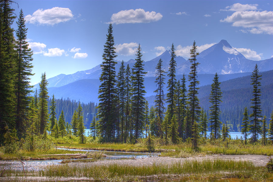 photo "And blue mountains at some distance.." tags: landscape, forest, mountains