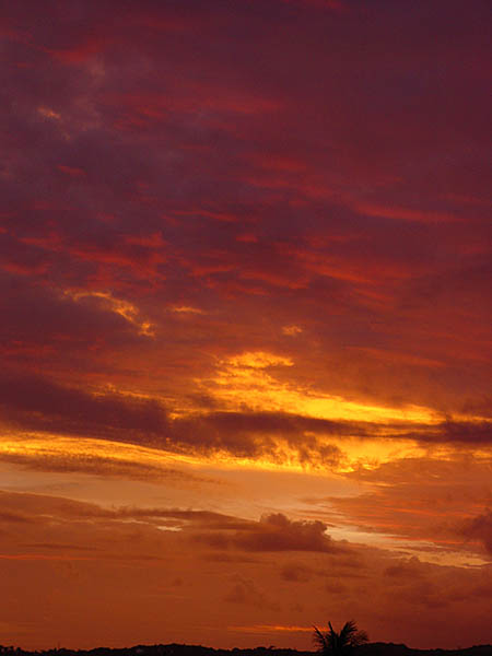 photo "Just a sunset" tags: landscape, sunset