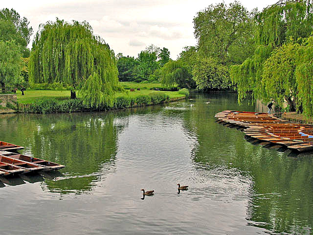 фото "Sail in a Punt" метки: пейзаж, 