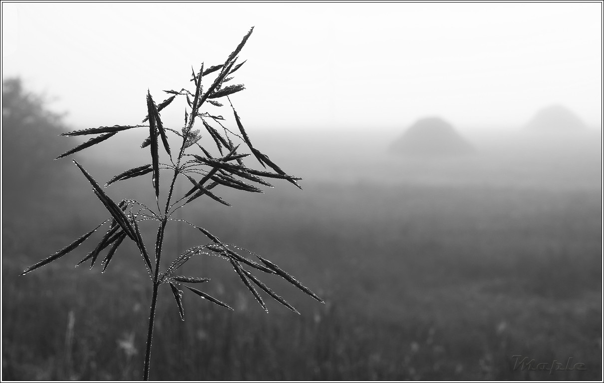 photo "***" tags: landscape, autumn