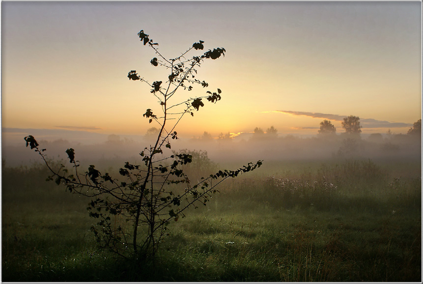 photo "New day" tags: landscape, summer