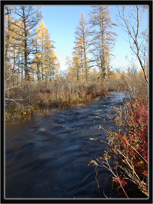 photo "***" tags: landscape, autumn, forest