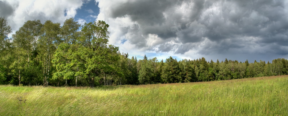 photo "***" tags: landscape, clouds, forest