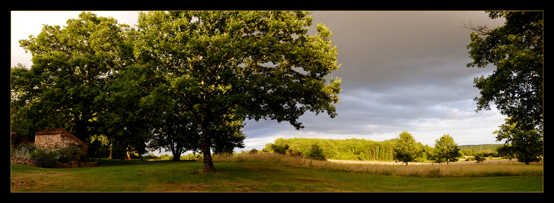 photo "Black Perigord" tags: panoramic, landscape, forest