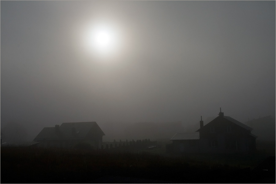 photo "Foggy morn." tags: landscape, autumn