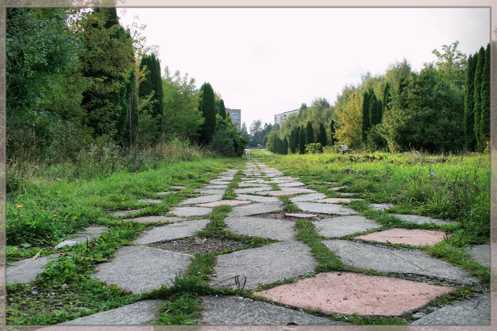 photo "Forgotten road..." tags: , 