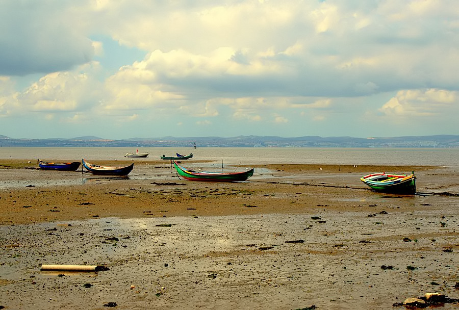 photo "Waiting for the High Water" tags: landscape, water