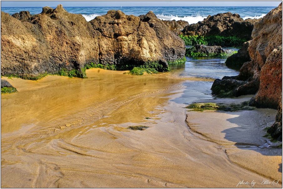 photo "***" tags: landscape, summer, water