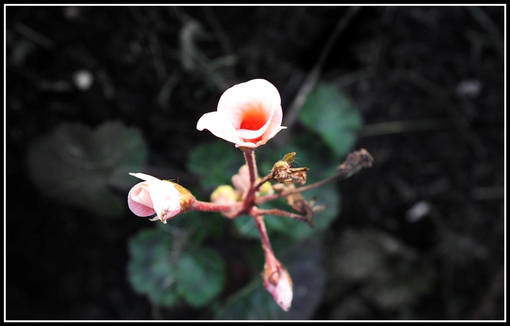 фото "***" метки: , 