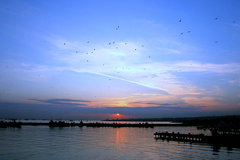 photo "***" tags: landscape, 