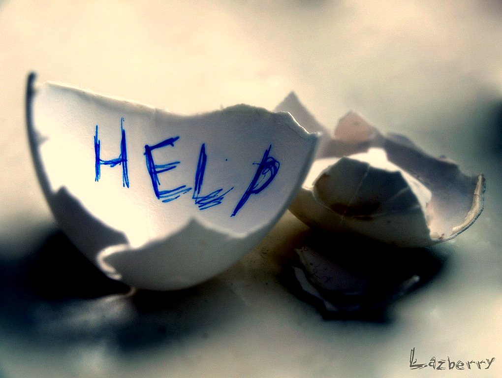 photo "***" tags: still life, 