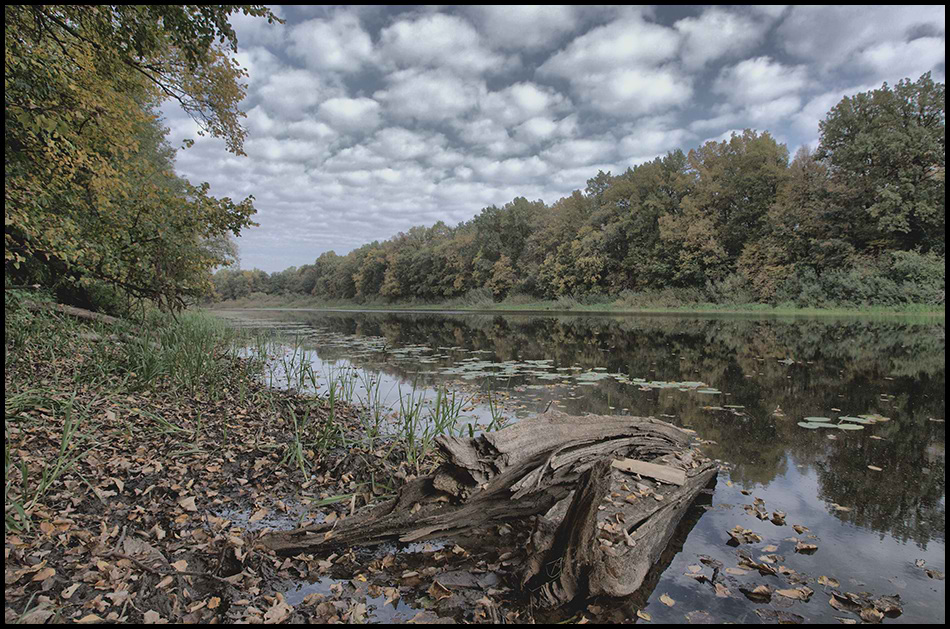 фото "У озера..." метки: пейзаж, вода