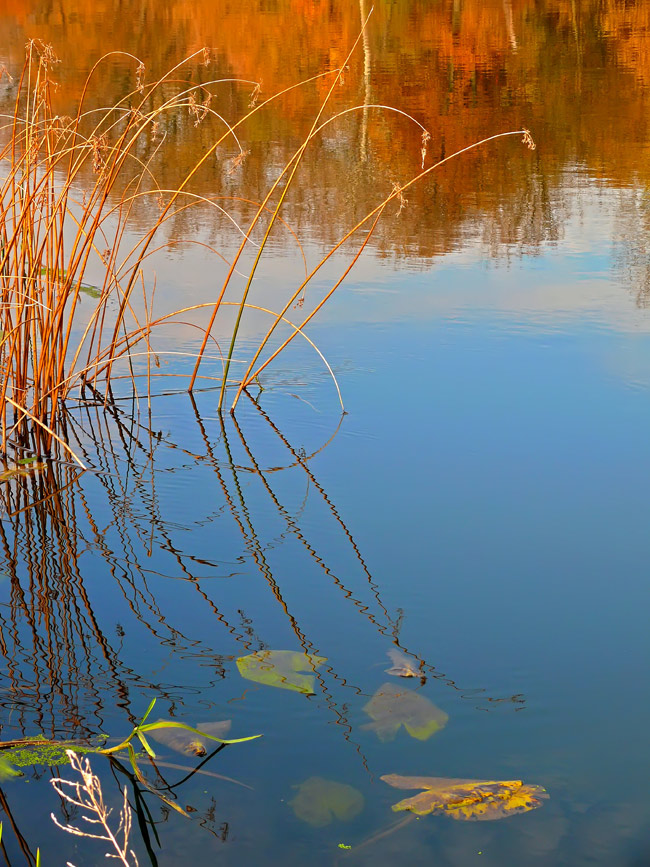 photo "***" tags: landscape, water