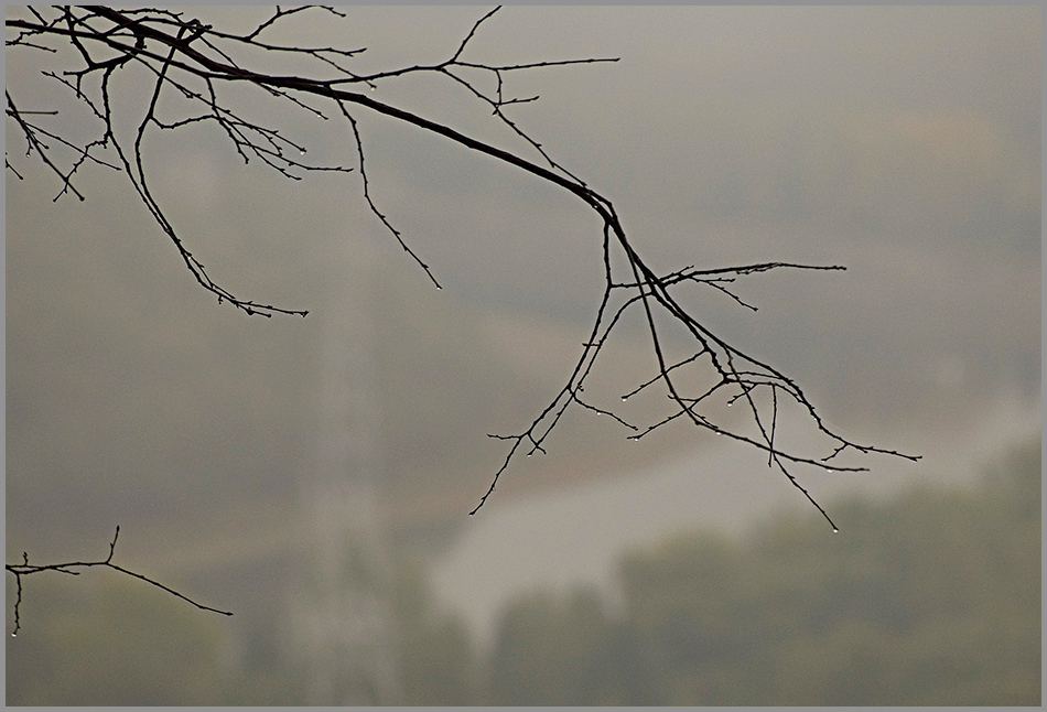 photo "***" tags: landscape, autumn