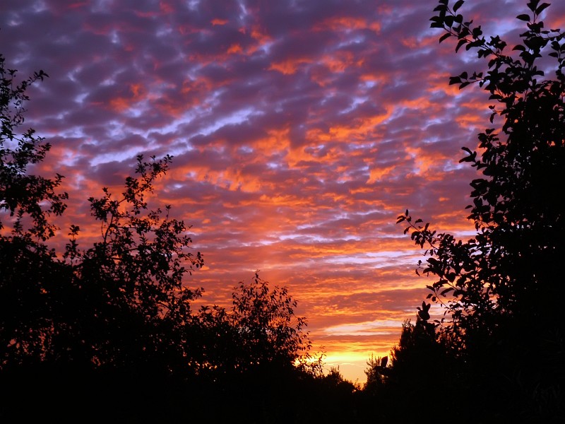 photo "Summer sunset" tags: landscape, sunset