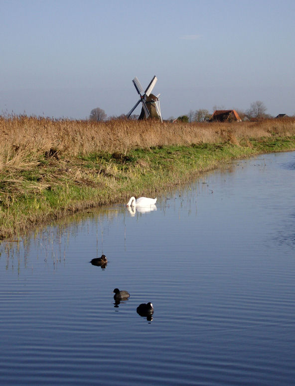 photo "Dutch atmosphere" tags: landscape, spring