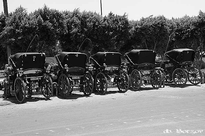 photo "***" tags: black&white, travel, Africa