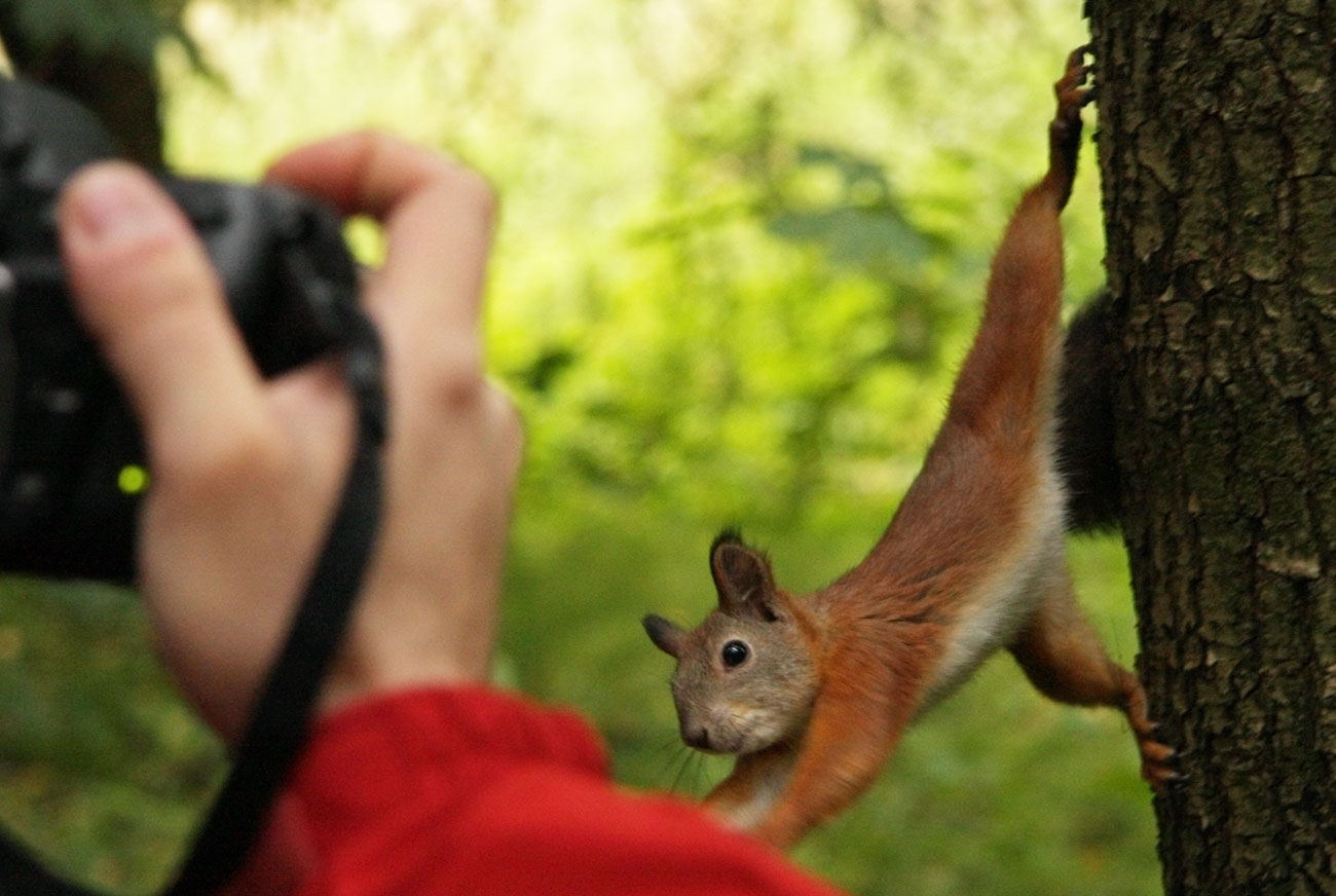 photo "supermodel" tags: nature, wild animals