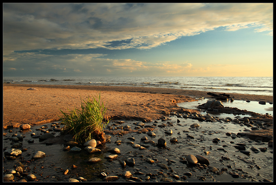 photo "* * *" tags: landscape, summer, water