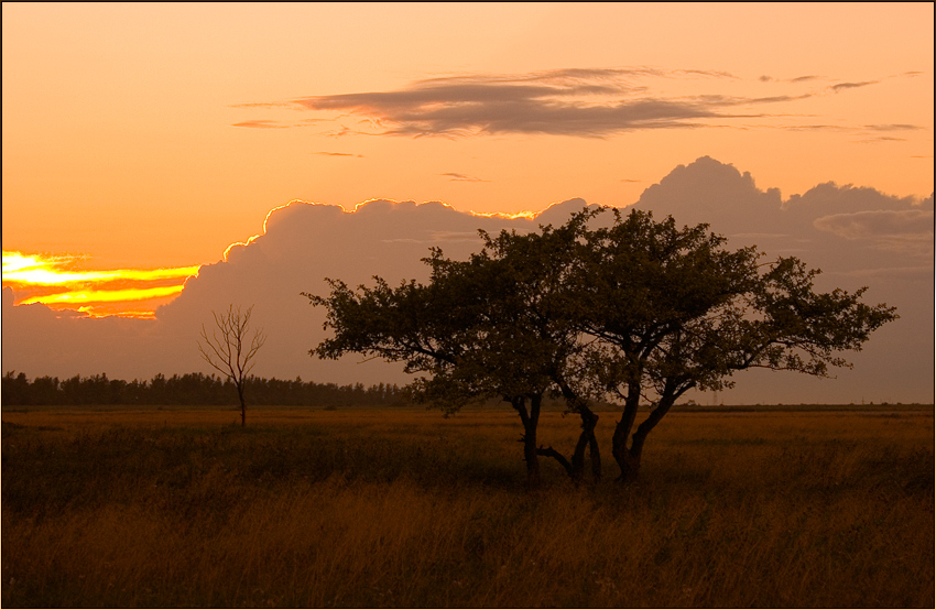 photo "***" tags: landscape, sunset